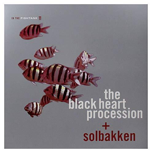 In The Fishtank (Vinile)