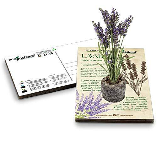 Biglietto d'Auguri Ecologico con Semi di Lavanda Piantabili