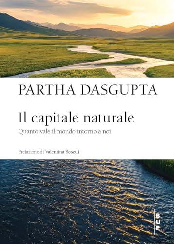 Il capitale naturale. Quanto vale il mondo intorno a noi