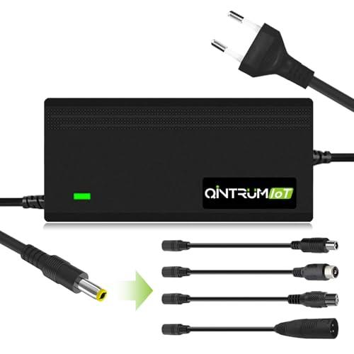 Caricabatterie 42V 2A per Monopattino Elettrico e Bici Elettrica con Connettori Multipli