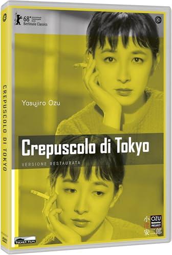 Crepuscolo di Tokyo - Rivestimento Standard per Modellismo