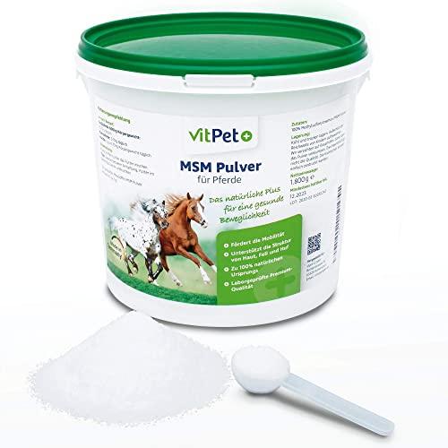 VitPet+ MSM Polvere per Cavalli - Metilsulfonilmetano Polvere Premium (1,8 kg)