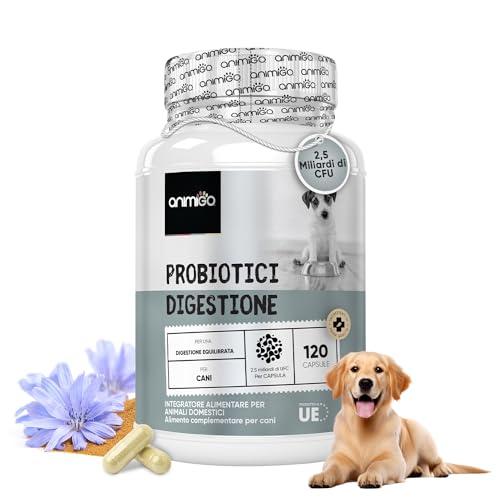 Animigo Probiotici per Cani ed Enzimi Digestivi - 120 Capsule