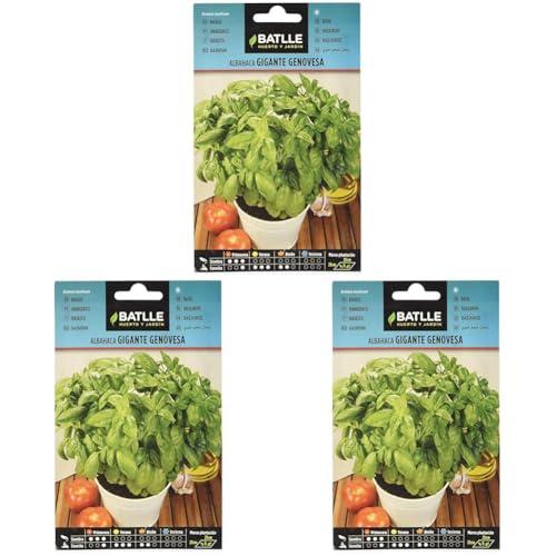 Semi di Basilico Gigante Genovese Battle - Un Tocco di Grandezza nel Tuo Orto
