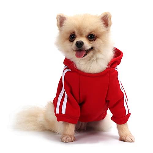 QiCheng&LYS Felpa per Cani Rossa Taglia S