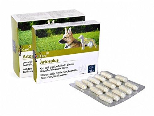 Camon Artosalus Mangime Complementare per Cani e Gatti - 60 Compresse
