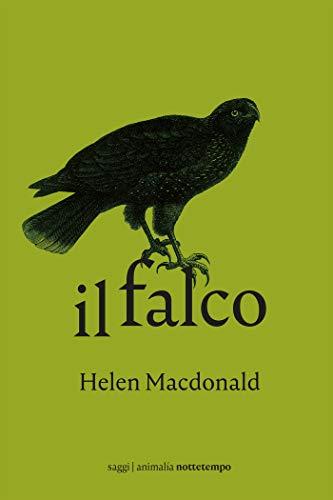 Il Falco (Animalìa)