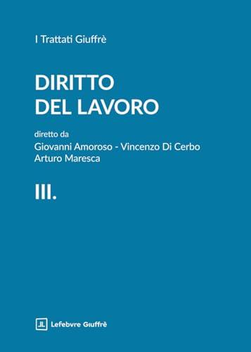 Diritto del lavoro 3: Rapporto di lavoro e tutela dei diritti (Vol. 3)