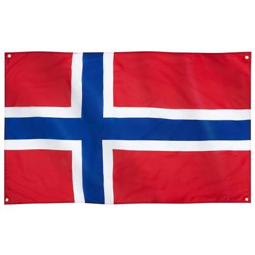 Bandiera Norvegia Runesol 91x152cm