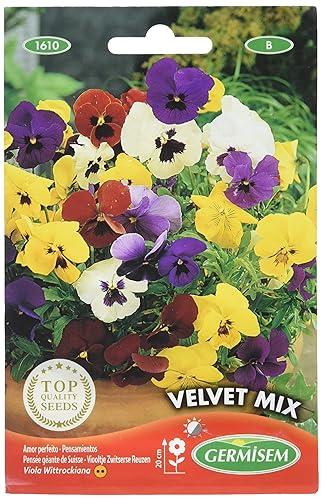 Germisem Velvet Mix Semi di Viola del Pensiero