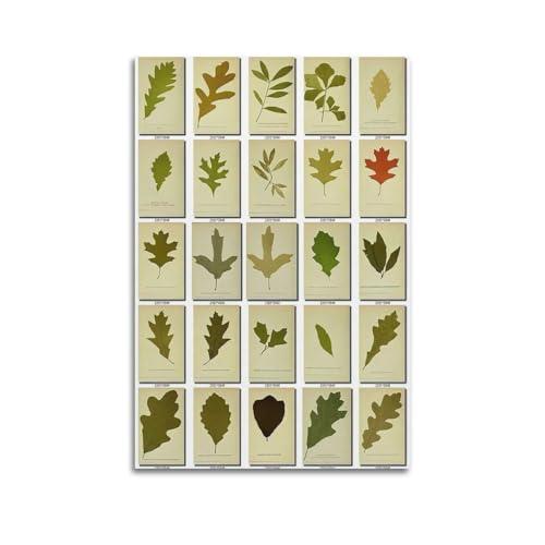Poster Decorativo da Parete Vintage Botanica 60x90 cm