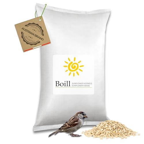 Boill Semi di Girasole Pelati - 25 kg di Energia Naturale per Uccelli