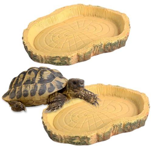 NHPY Teca per Rettili - Doppia Vaschetta per Acqua e Cibo