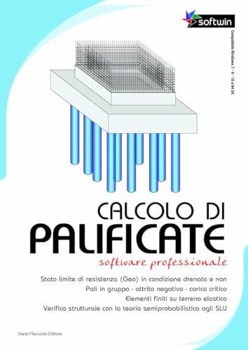 Calcolo di palificate. Software professional