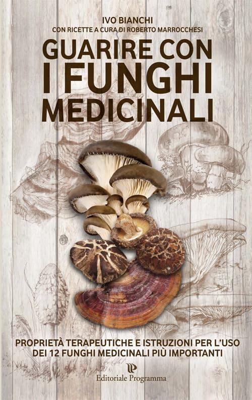 I Funghi Terapeutici: Un viaggio nella micoterapia