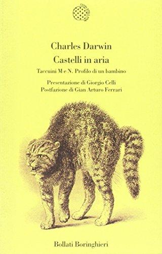 Castelli in aria