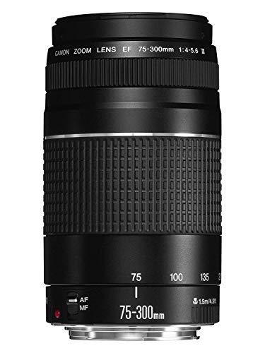 Canon EF 75-300 mm f/4-5.6 III Teleobiettivo Zoom
