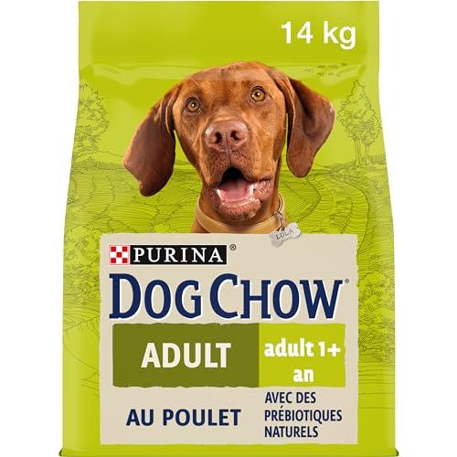 PURINA DOG CHOW Crocchette per Cani Adulti con Pollo Sacco da 14kg