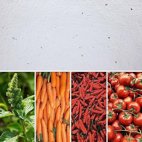 Eco-Card® Carta Ecologica con Semi di Verdure Miste, Biodegradabile, Piantabile, Formato A4 Confezione da 10 fogli grammatura 150gr. stampabile inkjet