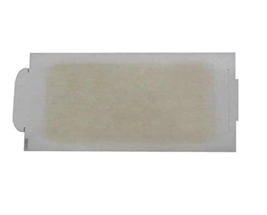 Piastra Collante per Topi con Esca alla Nocciola - Confezione da 20