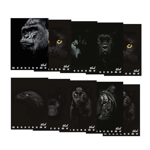 Pigna, Maxi Quaderno Monocromo Black, A4, 100 g/m², 72 pagine, 5M, Conf. da 10
