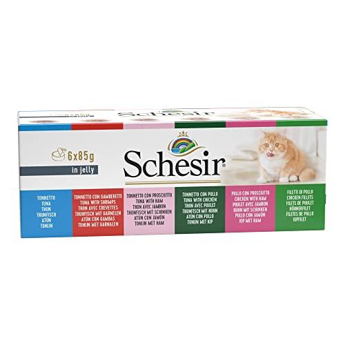 Schesir, Cibo Umido per Gatti Adulti Gusti Assortiti, Filetti in Gelatina - 510g (6 x 85g)