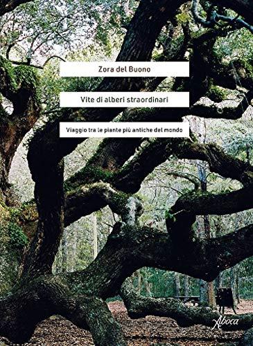 Vite di alberi straordinari: Viaggio tra le piante più antiche del mondo