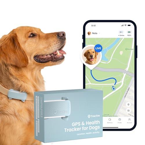 Tractive GPS per Cani - Edizione 2025 - Menta