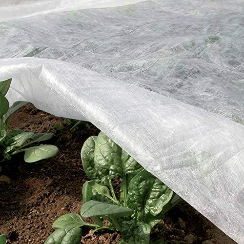 TENAX Ortoclima Plus 1,60x10 m Bianco, Velo Protettivo Antigelo Invernale per Piante, in TNT Tessuto non Tessuto 30 g/m², Protegge Fiori e Ortaggi da Freddo, Gelo Vento