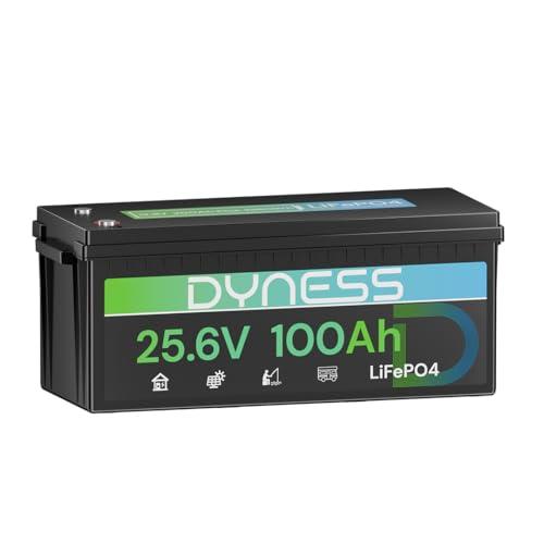 Dyness Batteria Litio LiFePO4 24V 100Ah: Accumulo Energetico Potente e Versatile