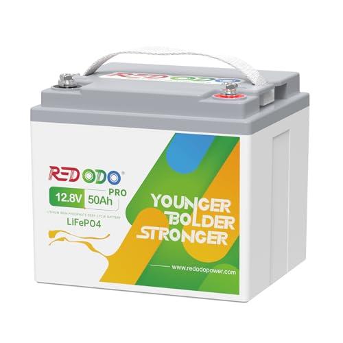 Redodo Batteria Litio 12V 50Ah LiFePO4 per Camper, Barca, Sistemi Solari