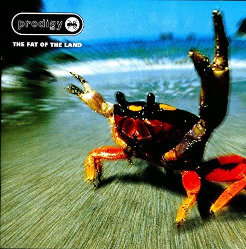 The Fat Of The Land - The Prodigy