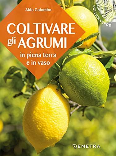 Coltivare gli agrumi: in piena terra e in vaso