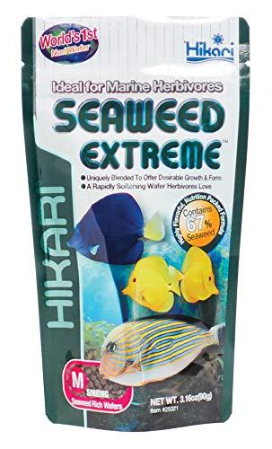Hikari Seaweed Extreme - Alimento Premium per Pesci Erbivori