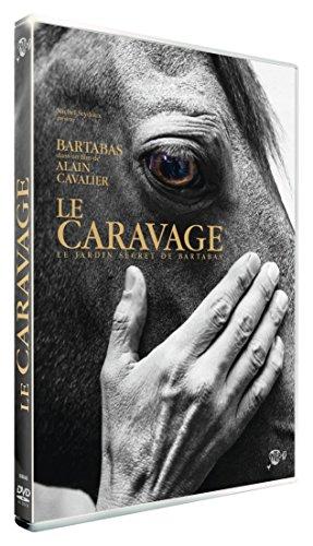 Le Caravage - Un Viaggio nel Genio di Michelangelo Merisi