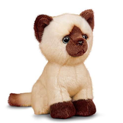 Animigos Peluche Gatto Siamese Realistico 20cm