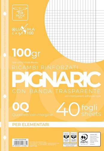 Pigna Quaxima 02222370Q - Ricambi Rinforzati A4, Quadretti 5mm, 100g - 40 Fogli