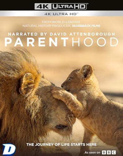 Parenthood [4K Ultra HD & Blu-Ray]