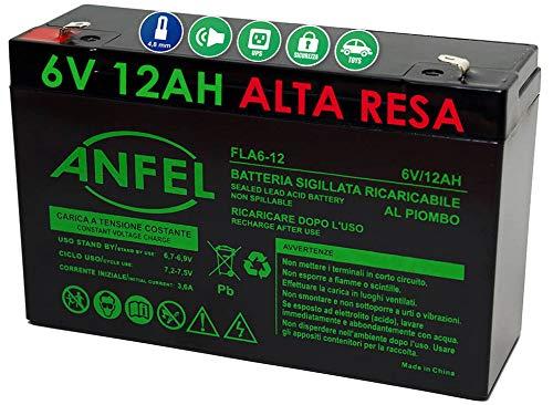ANFEL Batteria al Piombo Ricaricabile 6V 12AH