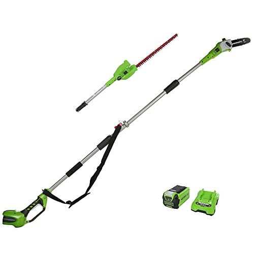 Greenworks G40PSHK2 Sega e Tagliasiepi ad Asta a Batteria 2 in 1