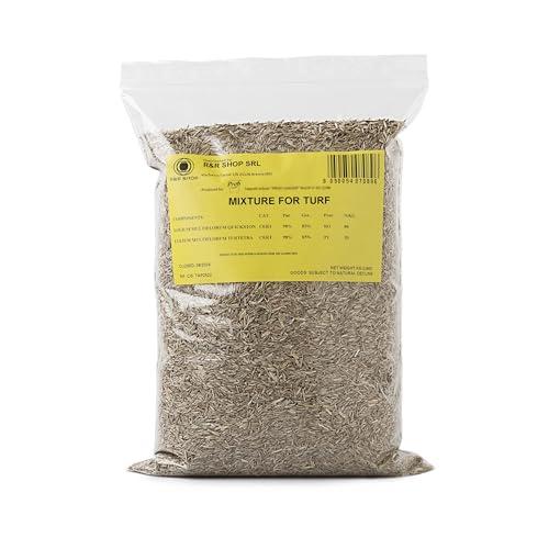 Semi per Prato Resistente - Loietto