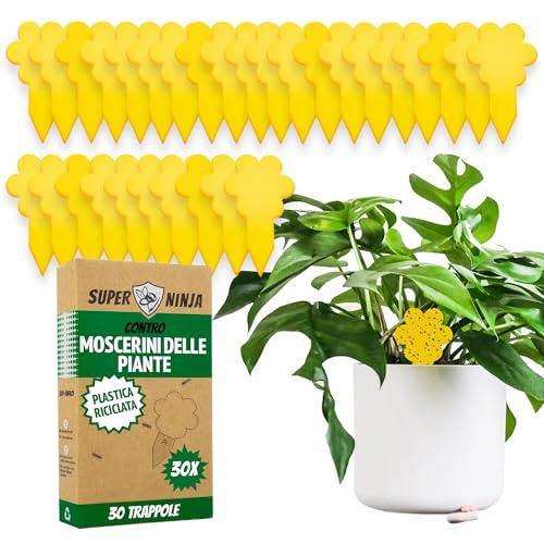 Trappola per Moscerini Super Ninja - 30 Trappole