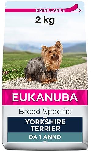 Eukanuba Breed Specific Alimento Secco per Yorkshire Terrier Adulti, Cibo per Cani Adattato in Modo Ottimale alla Razza 2 kg