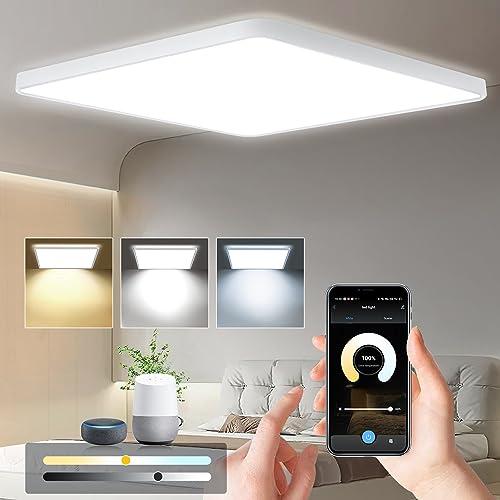 Eregou 24W LED Plafoniera Dimmerabile, App Smart Lampadario LED Soffitto, 2400LM Wifi Lampada per Camera da letto Soggiorno Cucina Ufficio, Quadrata Pannello LED