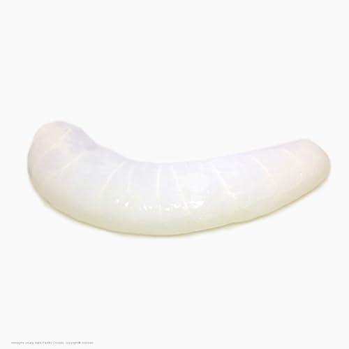 Budello Naturale di Bovino Bondiana Caps per Coppa Calibro 140+ mm Lunghezza 45 cm