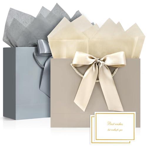 BBILKE Sacchetti Regalo Eleganti - Set di 2 Buste Regalo Grigio Champagne con Finiture Raffinate