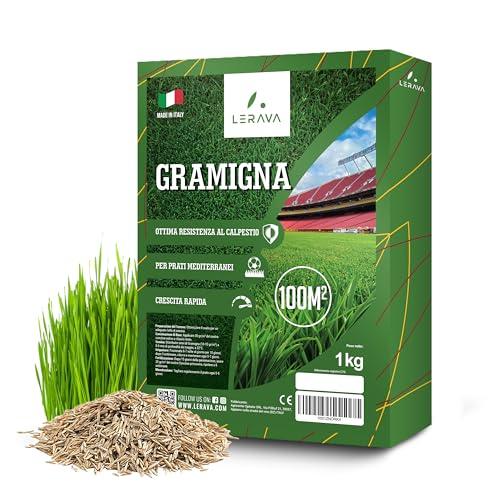LERAVA® Semi Gramigna per Prato [Calpestabile] - 100m² - 1kg