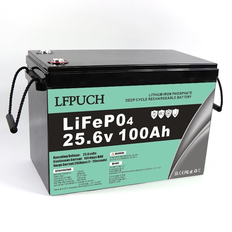 Batteria LiFePO4 24V 100Ah