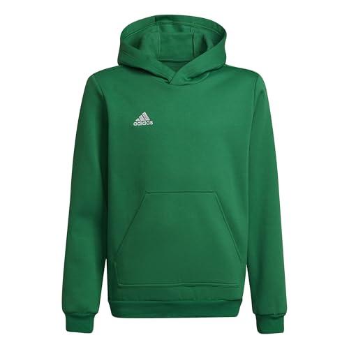 Adidas Entrada 22 Felpa con Cappuccio Unisex Bambini Verde Team/Bianco