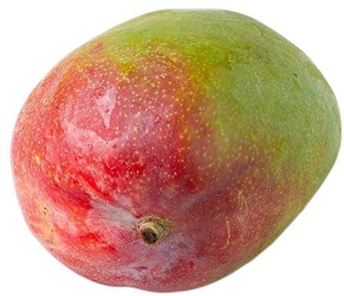 Mango Fruttital/F.lli Orsero BIO